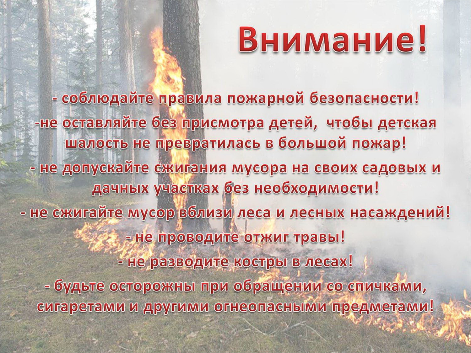 Плакат Пожарная безопасность в лесу